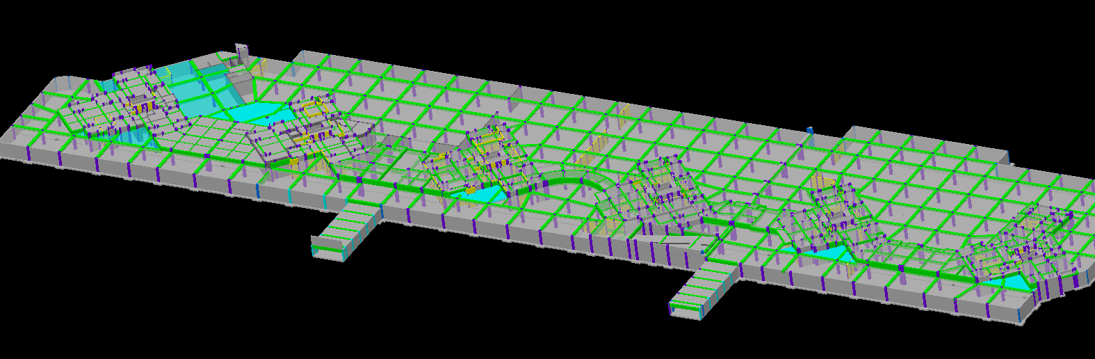 ���͵�����